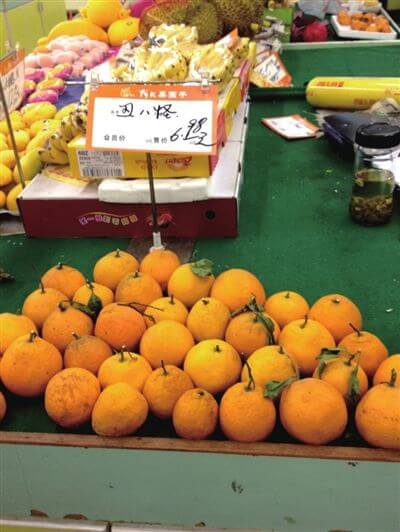 假丑橘