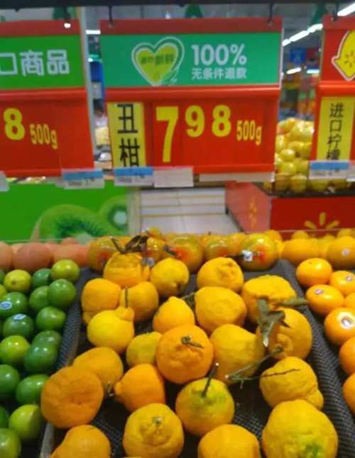 假丑橘图4