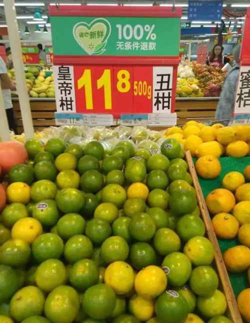 假丑橘图2