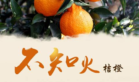 丹棱不知火