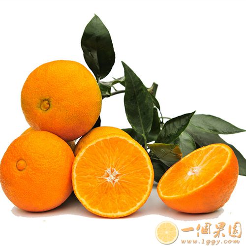 爱媛果肉5