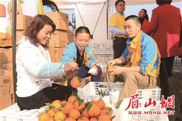 丑橘装箱中