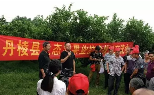 丑橘会议