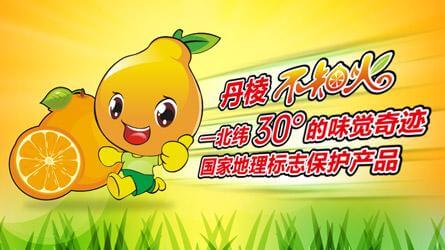 丑橘产地在哪儿？哪里的丑橘更好吃？